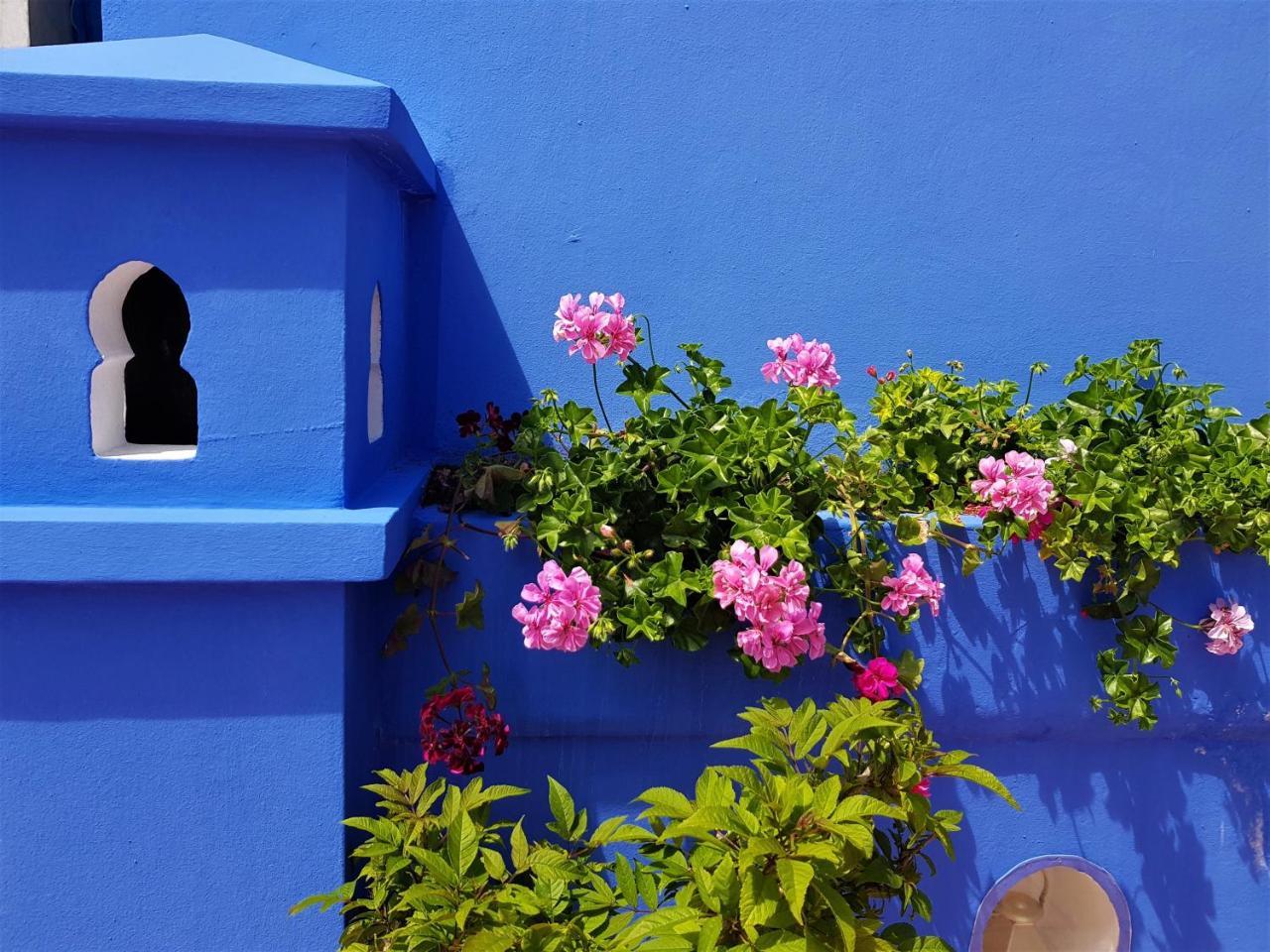 Dar Manara - Medina D'Asilah Hotel Екстериор снимка